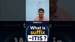 Medical Suffix “-ITIS” Explained in 30 Seconds