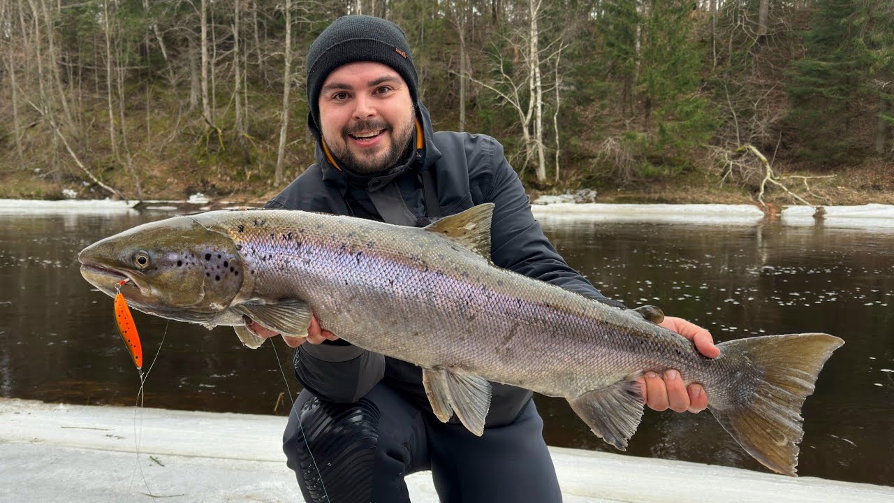 Beidzot TROFEJA! Lašu cope Salacā D zonā! Pēc 4 tukšajiem braucieniem uz lašupēm tomēr izšāva!