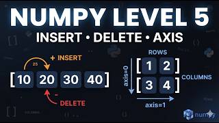 NumPy Beginner Practice – Level 5 | Insert, Delete & Manipulate Arrays