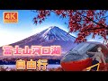 日本旅遊富士山河口湖｜必去「富士景觀特急」觀光列車｜HAOSTAY西瓜屋超可愛台灣人開的飯店｜河口湖自然生活館｜文義氣息久保田一竹美術館｜日本旅遊觀光美食4KVLOG東京自由行必去景點#1
