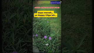 Download Lagu Pas aku dolan ketemu kowe nang ndalan ll #music #gilgasahid #happy #nemen MP3