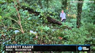 Man survives being trapped under a tree for a week