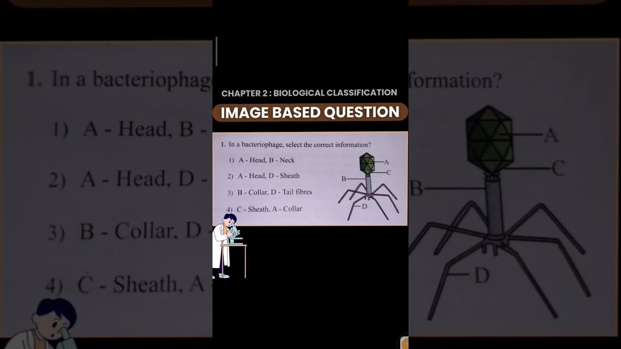 Image Based Questions for NEET 2025 