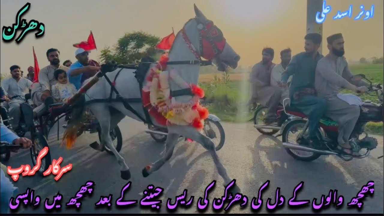 Ghora Raching Dharkan Ghori Try Ghora Shooq Nawab Loga Da All Pakistan tanga horse ...