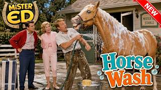 Mister Ed 1965 Full Episodes 🍀🍀 Horse Wash 🍀🍀 Mister Ed Full Season 2026