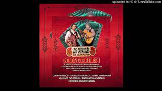 Los Caracoles de Durango Anastacio Pacheco