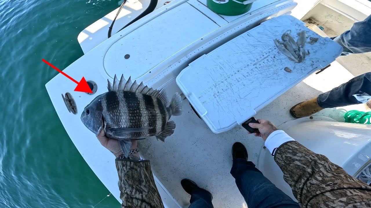 It just kept getting better!! EPIC day of Catching part 2