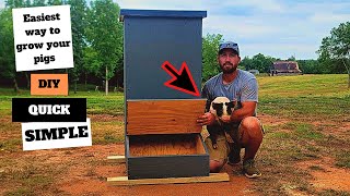 The only DIY pig feeder viedo you need to watch! Net Worth