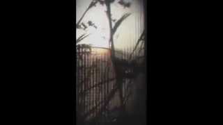 Cod 2015 Teaser Snap Soldier Reveal, Blackhawk Chopper, Vietnam?