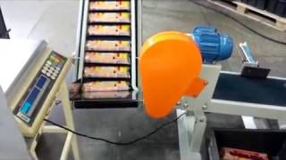 Agrupador De Pacotes E Verificador De Peso - Embrapac