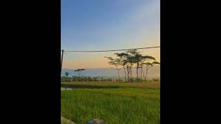 Status WA Selamat Pagi