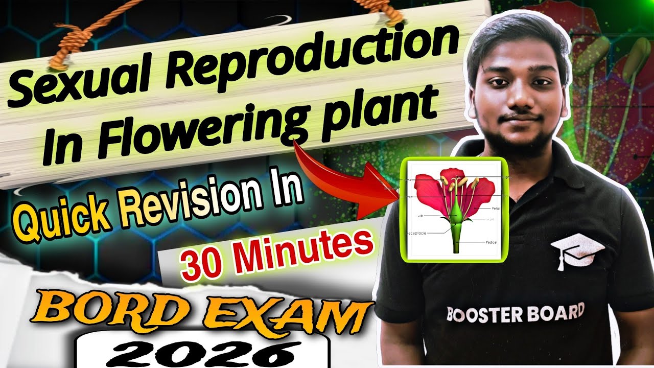 Sexual Reproduction in Flowering Plants | 30 Min Quick Revision | Class 12 Biology Board 2026