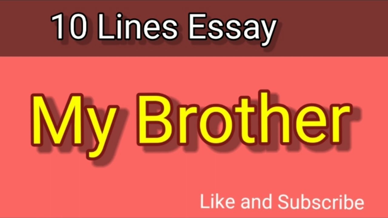 my twin brother essay