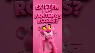 existe pantera rosa, descubrelo#animalesincreibles #panteras #animales