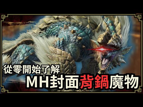 魔物獵人回憶錄 封面「背鍋」魔物，竟然有隻洗到超級白？ft. 雷狼龍、海龍等等的衰衰魔物