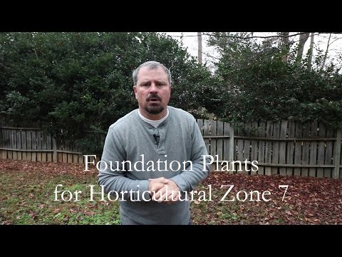 Video: Zone 7 vintergröna buskar - Välj vintergröna buskar för zon 7 trädgårdar