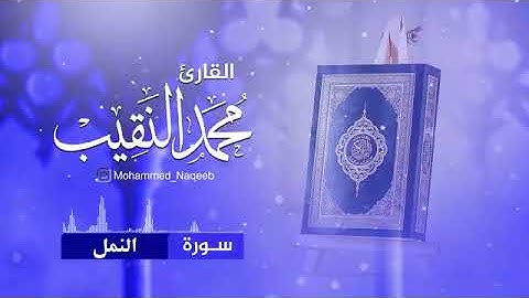 تلاوة خاشعة توريح الأعصاب القارئ الشيخ محمد النقيب