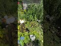 ПРИГОРОДНЫЙ ЖАКШЫ БААДА УЙ САТЫЛАТ 2026