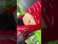 uff her navel ❤👀 #navel #kissing #trending #trendingshorts