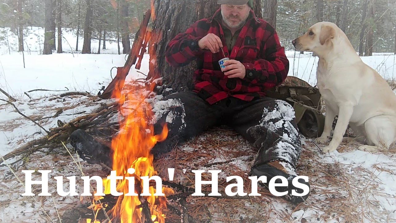 Snowshoe Hare Hunt A Solo Day for Bushcraft and Hunting in the Wild