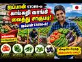 ஜப்பான் STORE-ல வாங்கி FARM-ல் நட்டேன்! 🇯🇵🌱 Tomato, Chilli, Brinjal Farming Tamil