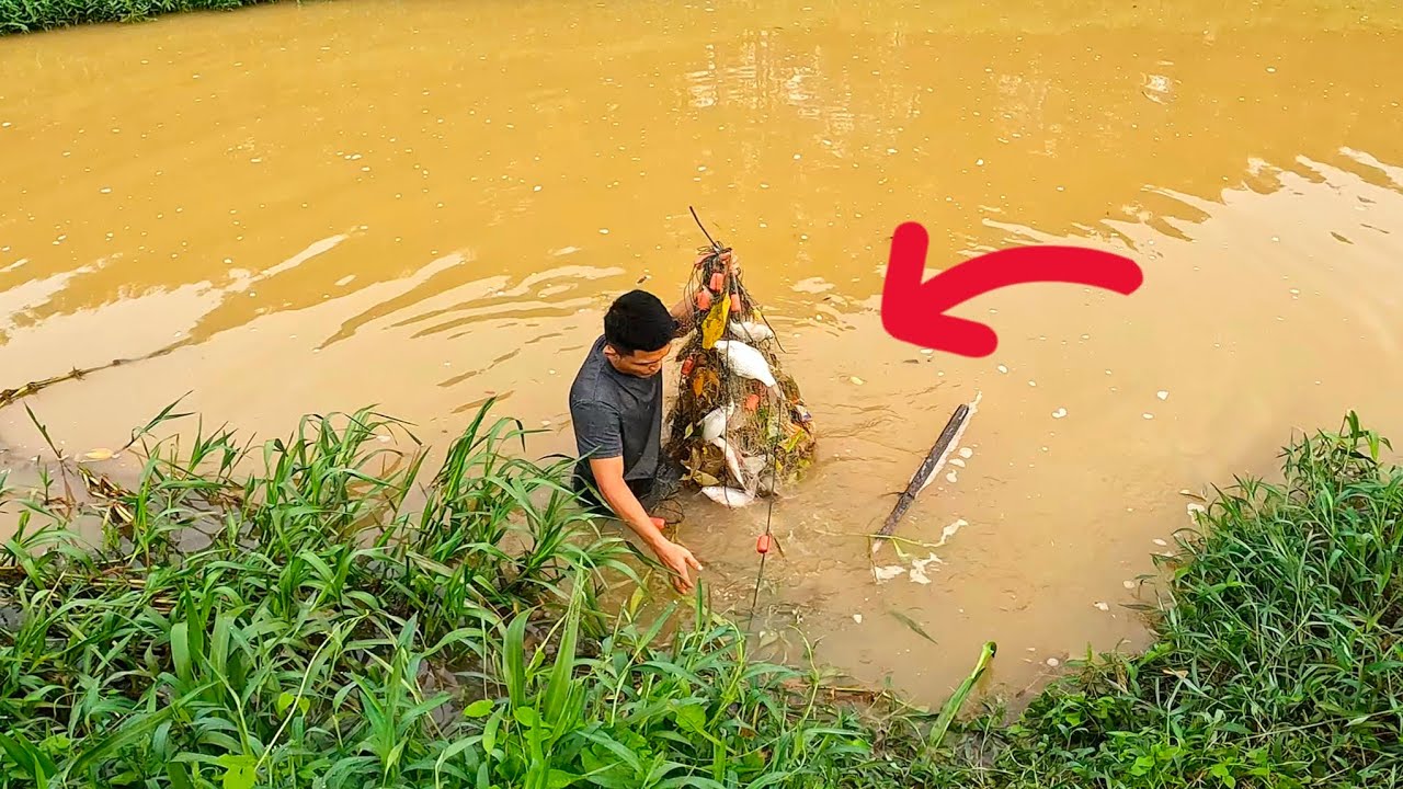 Menjaring Ikan Di Sungai Buloh, Selangor Darul Ehsan.