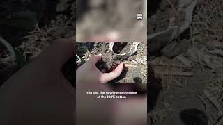 Farmers Use Underwear To Test Soil Health