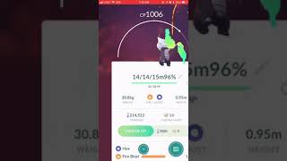 video: Alolan Marowak moves (18 sec.)