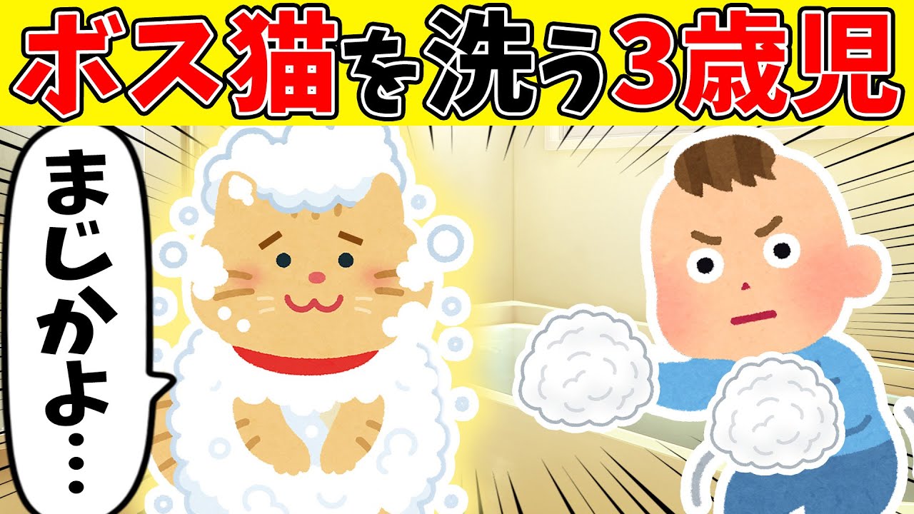 【まさかの理由】3歳児に生まれて初めて洗われたボス猫【ゆっくり】