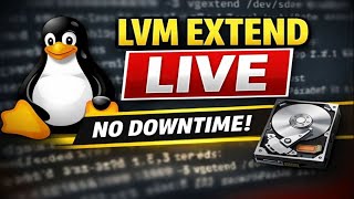 Celebrity LVM Disk Extend in Linux Live System | pvcreate vgextend lvextend Tutorial Net Worth