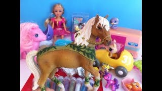 Ponei, Cai, Masini, LPS, Accesorii Si Alte Jucarii Noi Pentru Canalul Firelies Kids Ponei, Cai, Masini, LPS, Accesorii Si Alte Jucarii Noi Pentru Canalul Firelies Kids