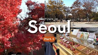 Wajib ke Sini kalau Musim Gugur (Best View!) 🇰🇷 2025 | SEOUL Autumn Vlog