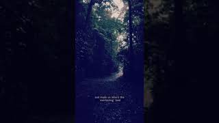 Quran Verses Surah Zumar . 173-175