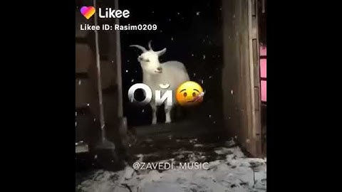 Ой какая хорошая погода!!!😂😂😂😂