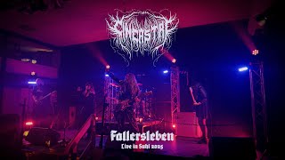 Cineastre - Fallersleben