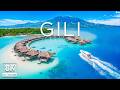Gili Islands 8K | Turquoise Lagoons, Coral Shores &amp; Tropical Island Serenity UHD