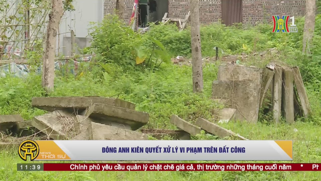 Đông Anh kiên quyết xử lý vi phạm trên đất công - youtube