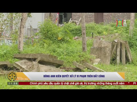 Video Đông Anh kiên quyết xử lý vi phạm trên đất công - youtube