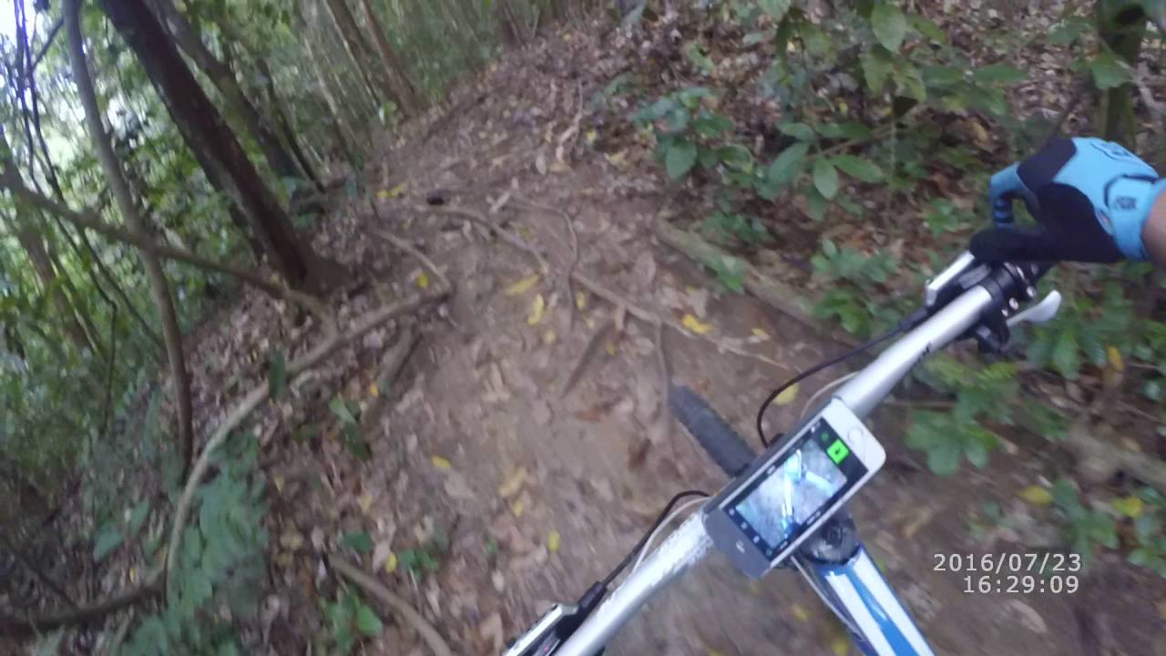 Trinidad mountain bike trails Bamboo Cathedral YouTube