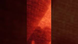 7 De Febrero De 2017