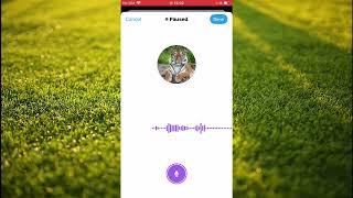 how to send voice notes on twitter