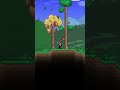 DAY 2 of Trying to Beat Terraria Doing One Thing A Day #terraria#terrariabeginner #terrariaadventure