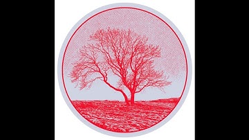 COMPUTER DATA - Selbstbesinnungen