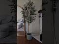 Phimos Artificial Olive Tree 6 Ft. |QUICK OVERVIEW|