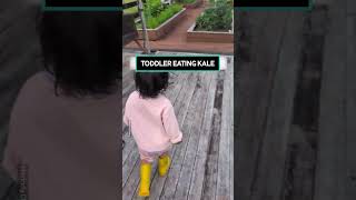 Healthy Tot Really Loves Her Veggies! 🥦