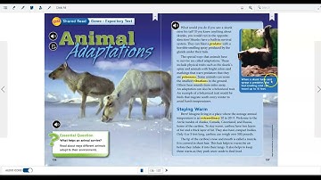 Extract Text from Images Using Windows 11 Snipping Tool!