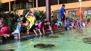Gulf World Marine Park promotion for Gulf Coast Jam Customers