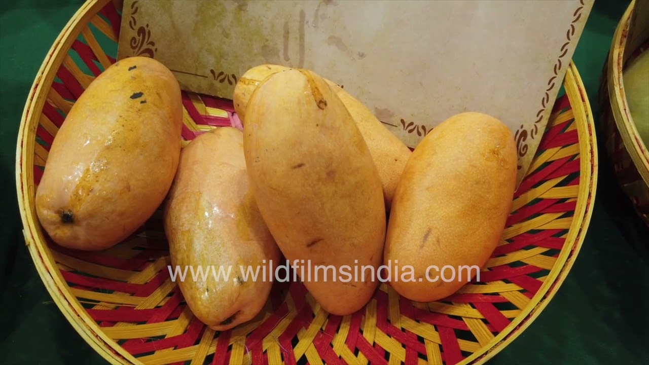 Mango Festival 2025 Delhi showcasing incredible Indian mango varieties