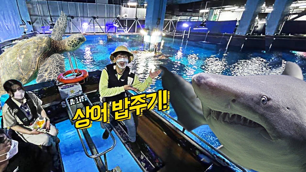부산아쿠아리움 동물 이름 유래 : 네이버 블로그, image size:1280x720