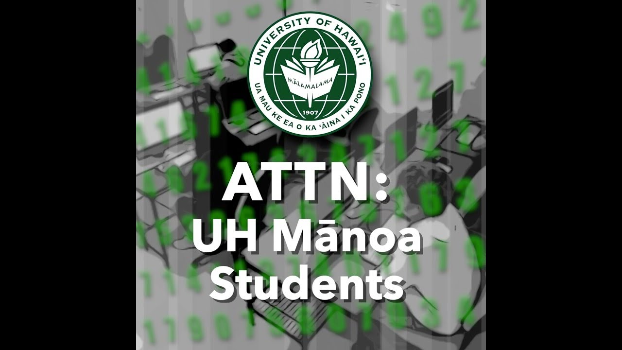 DARDO (@dardoindia) • Instagram photos and videos, image size:1280x720